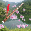 ”Bamboo flute sleep music