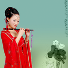 中国笛子曲330首-可制作铃声 icône