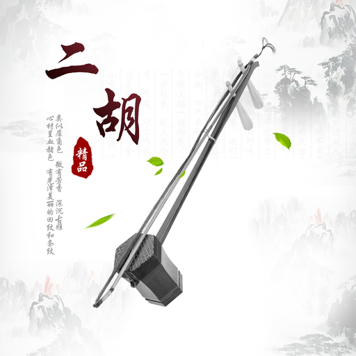 Chinese Erhu instrument Music