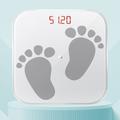 Mi Smart Scale 2 Guide