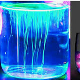 Experimentos Caseros