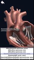 MIS Human Body AR Poster تصوير الشاشة 2