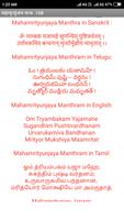 Mahamrityunjay Mantra 108 تصوير الشاشة 2