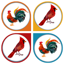 Picture matching puzzle APK