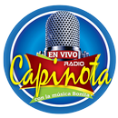 Radio Capinota APK