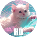 APK Miraculous Wallpapers