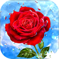 Flowers & Roses GIF