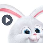 Snowball Rabbit Stickers 아이콘