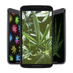 Weed HD Wallpapers and Backgro APK download