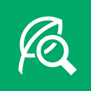 SCIBAI, Diag. & SNS for veggie APK