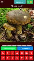 Угадай грибы capture d'écran 3