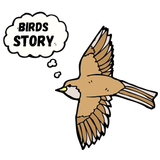Birds Story APK
