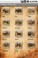 Chinese Horoscope Affiche