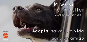 Miwuki Pet Shelter - Adopt