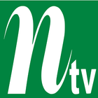 N TV アイコン