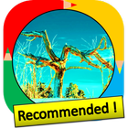 Color by Number - tree 圖標