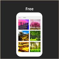 Color by Number - tree 截圖 1