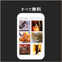 数字で塗り絵 - ネコ スクリーンショット 1