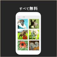 数字で塗り絵 - イヌ スクリーンショット 1