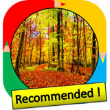 Color by Number - fall leaves APK