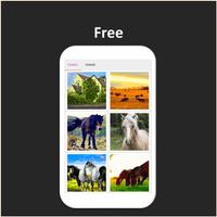 Color by Number - farm ảnh chụp màn hình 1