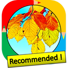 Color by Number - leaf icono