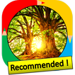 Color by Number - nature icon