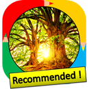 Color by Number - nature APK