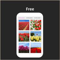 Color by Number - netherlands ảnh chụp màn hình 1