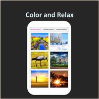 Color by Number - netherlands ảnh chụp màn hình 2