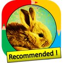 Color by Number - rabbit APK