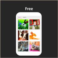 Color by Number - rabbit ảnh chụp màn hình 1