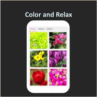 Color by Number - spring скриншот 2