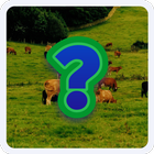 Guess the animal name icon