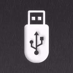 ISO 2 USB XAPK download