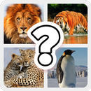 Ghiceste Animalul Din Poza - Test De Inteligenta.-APK