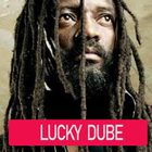 Lucky Dube Songs 圖標