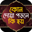 কোন দোয়া পড়লে কি হয়-দোয়ার বই