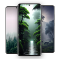 Forest Wallpapers