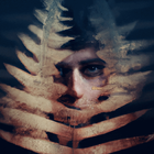 StoryScream - Horror stories ไอคอน