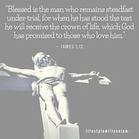 Blessing Christians Quotes 스크린샷 1