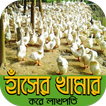 duck farming~হাঁস পালনের কৌশল