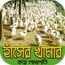 duck farming~হাঁস পালনের কৌশল APK