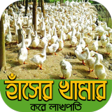 duck farming~হাঁস পালনের কৌশল иконка