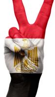 Egypt flag الملصق