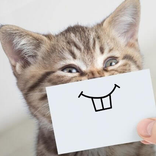 Fantasy draw your idea