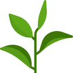 식물 정보 찾기 - 관엽식물, 다육식물 정보 찾기, 내 식물 저장