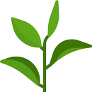 식물 정보 찾기 - 관엽식물, 다육식물 정보 찾기, 내 식물 저장 APK