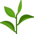 식물 정보 찾기 icon