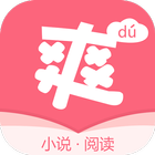 爽文小說 icono